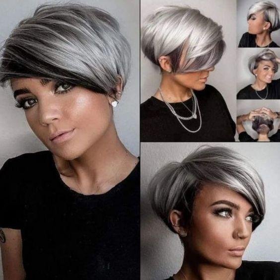 Der Pixie-Bob